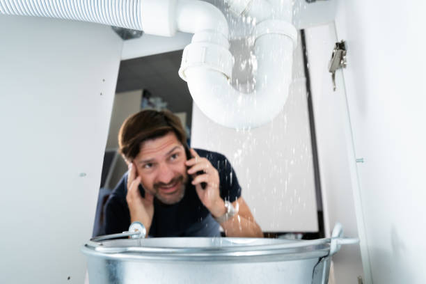 Best Sewer Line Repair  in Roselle Park, NJ