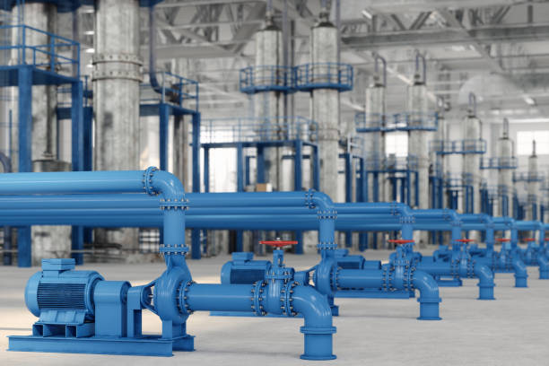 Best Sewer Line Repair  in Roselle Park, NJ